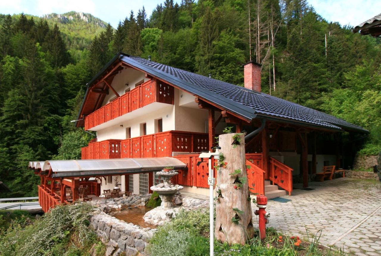 Guest House&Museum Firšt Solčava Extérieur photo